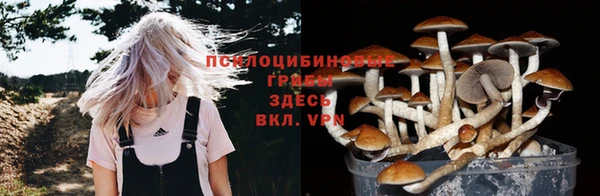 мяу мяу мука Бородино